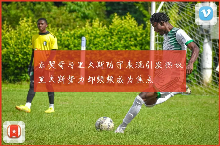 东契奇与里夫斯防守表现引发热议里夫斯努力却频频成为焦点