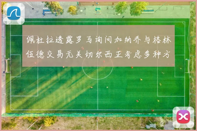 佩杜拉透露罗马询问加纳乔与格林伍德交易无关切尔西正考虑多种方案