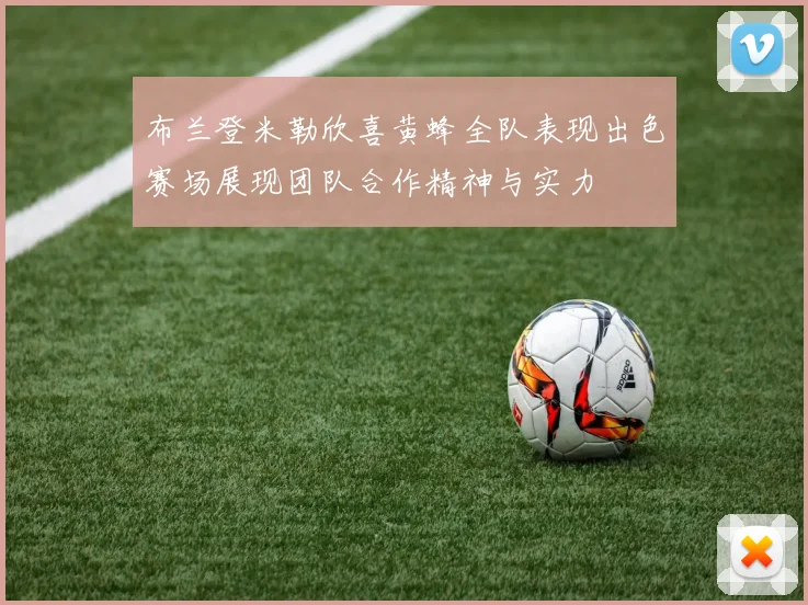 布兰登米勒欣喜黄蜂全队表现出色赛场展现团队合作精神与实力